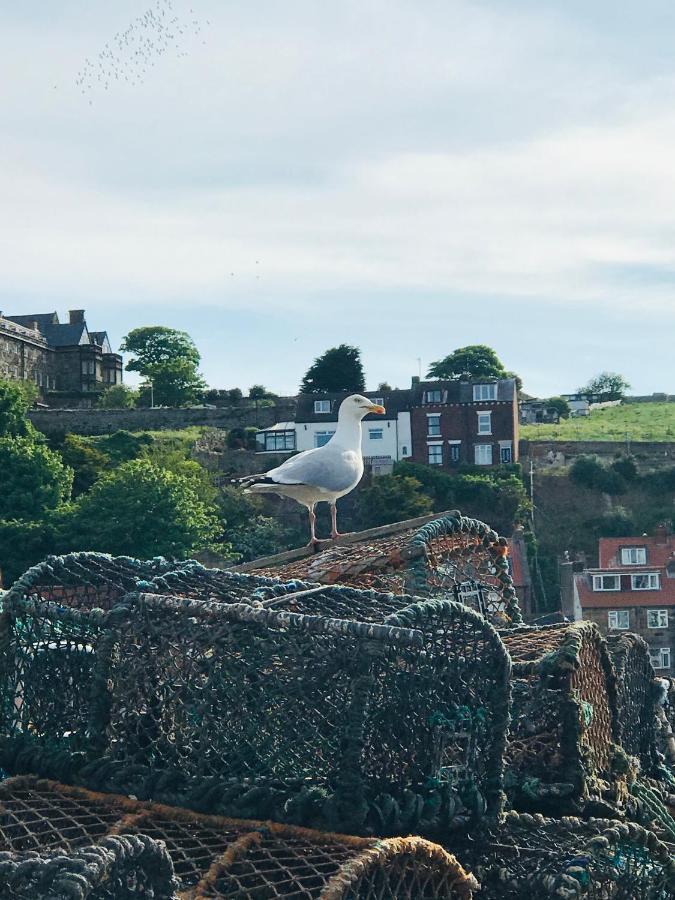 Mooredge B&B Whitby Dış mekan fotoğraf